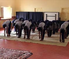 Bhagini Seva Samaja - dropdownmenu image